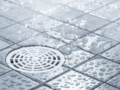 A shower drain in Dallas